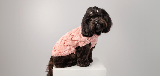Why Alpaca for Dog Sweaters is better?