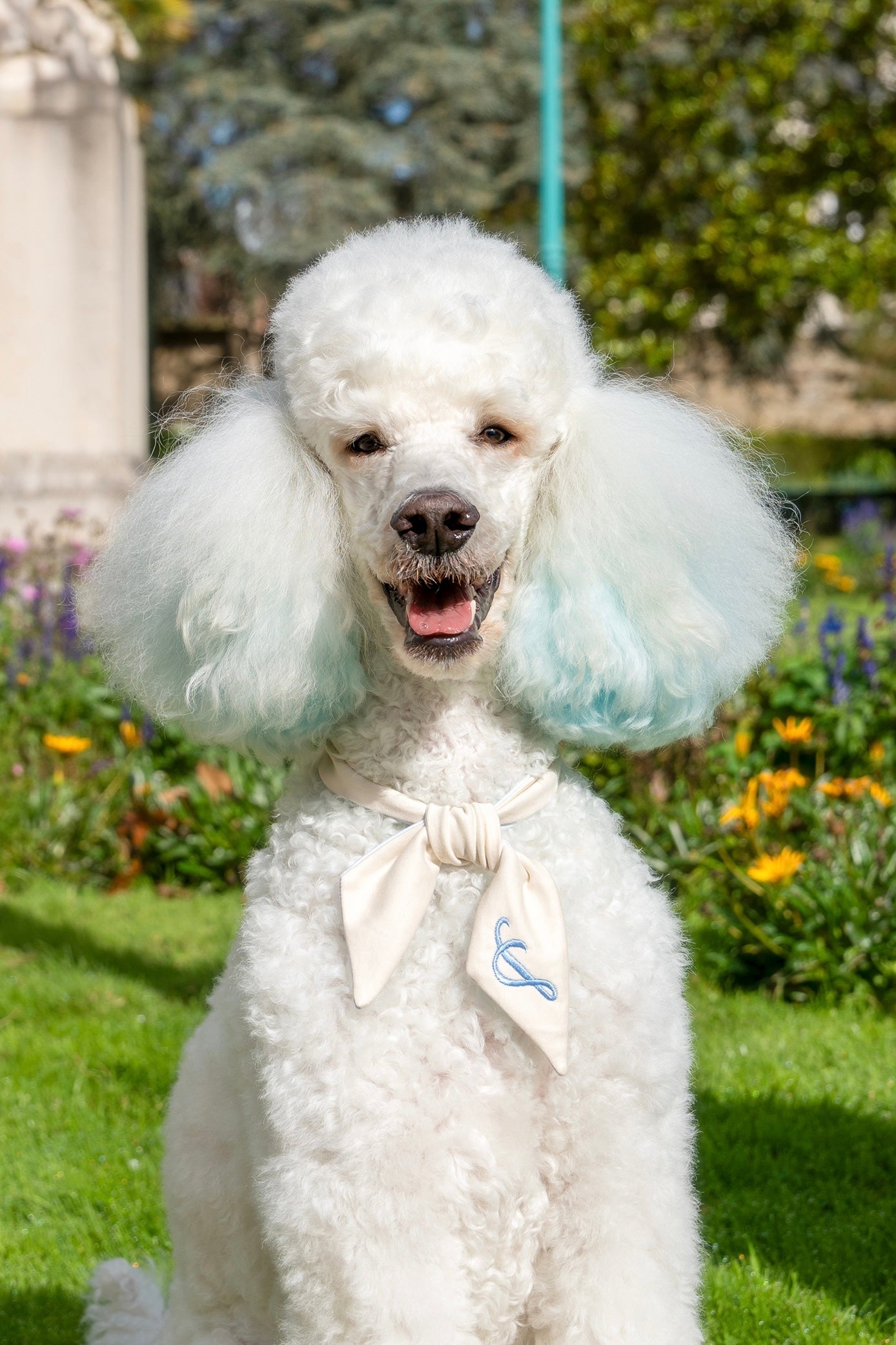 Customizable Reversible Dog Scarf in Cotton & Personalize with its Name's Initial