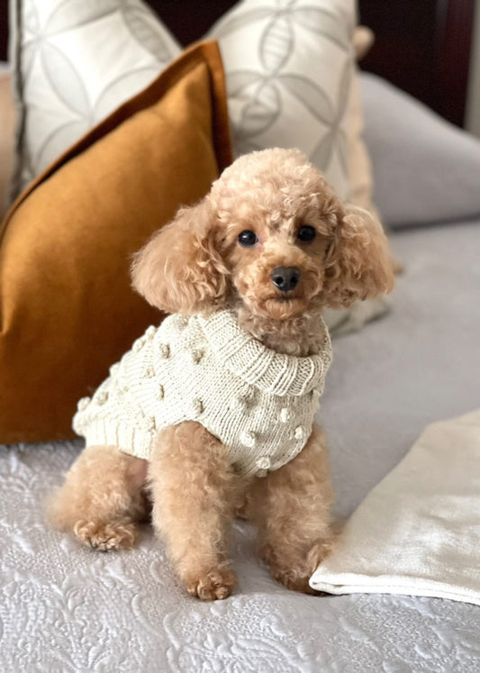 poodle-sweater