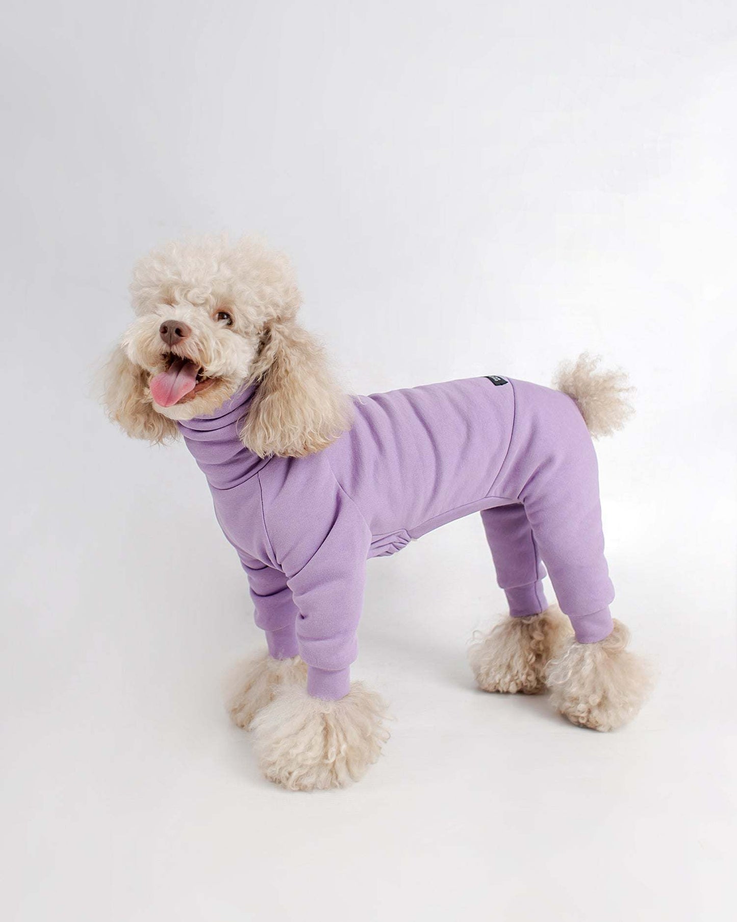 DOG JUMPSUIT TAILORED DOG ONESIE ORGANIC COTTON Colette et Gastón