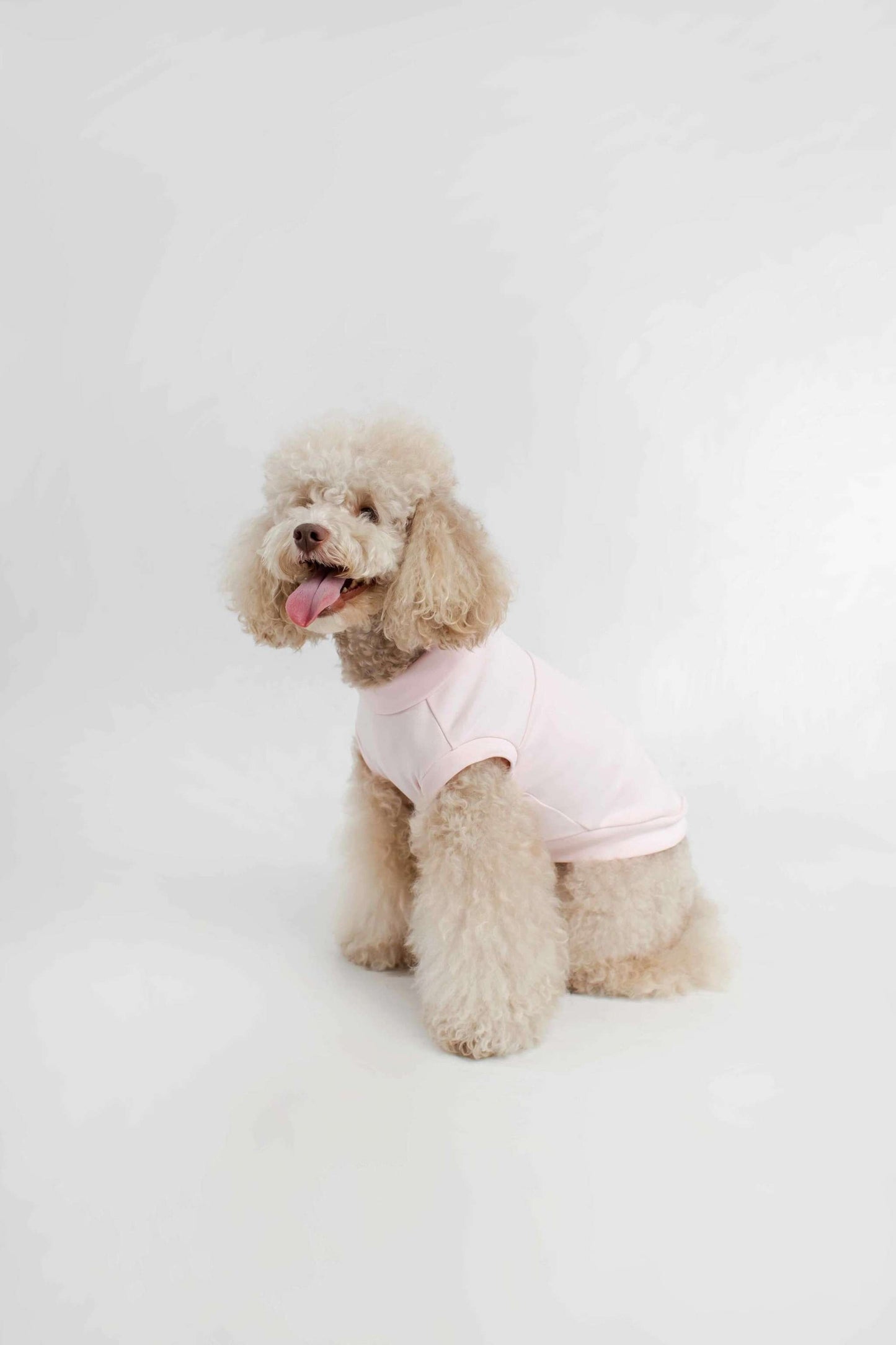 Dog T-Shirt Pour Chien For Summer In Cotton  Breathable Hypoallergenic Colette Et Gastón