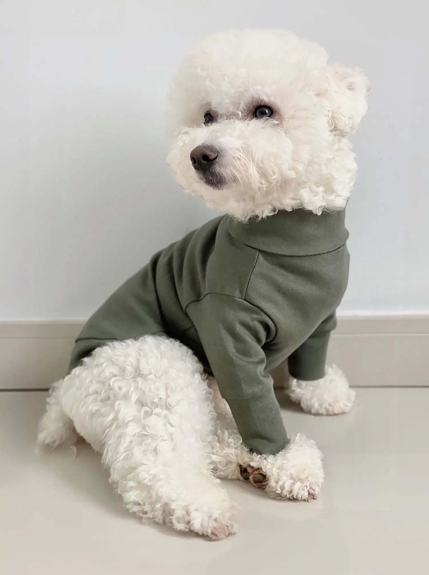 Dog Tshirt Breathable Cotton Pima Ultra Soft Colette et Gastón