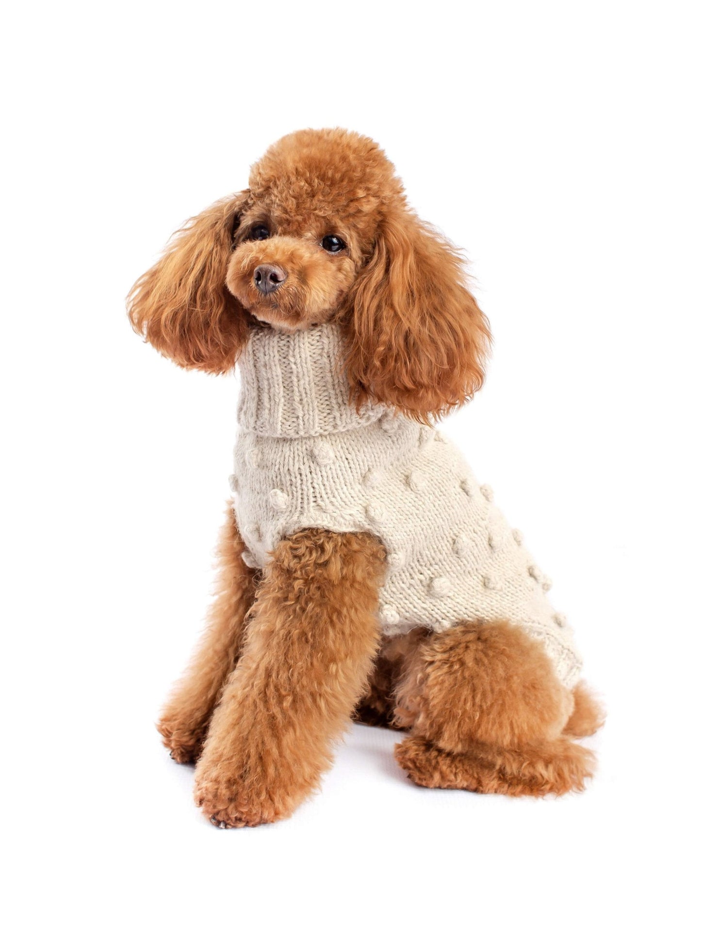 Jersey para Perro Alpaca Tejido a mano XXS a L