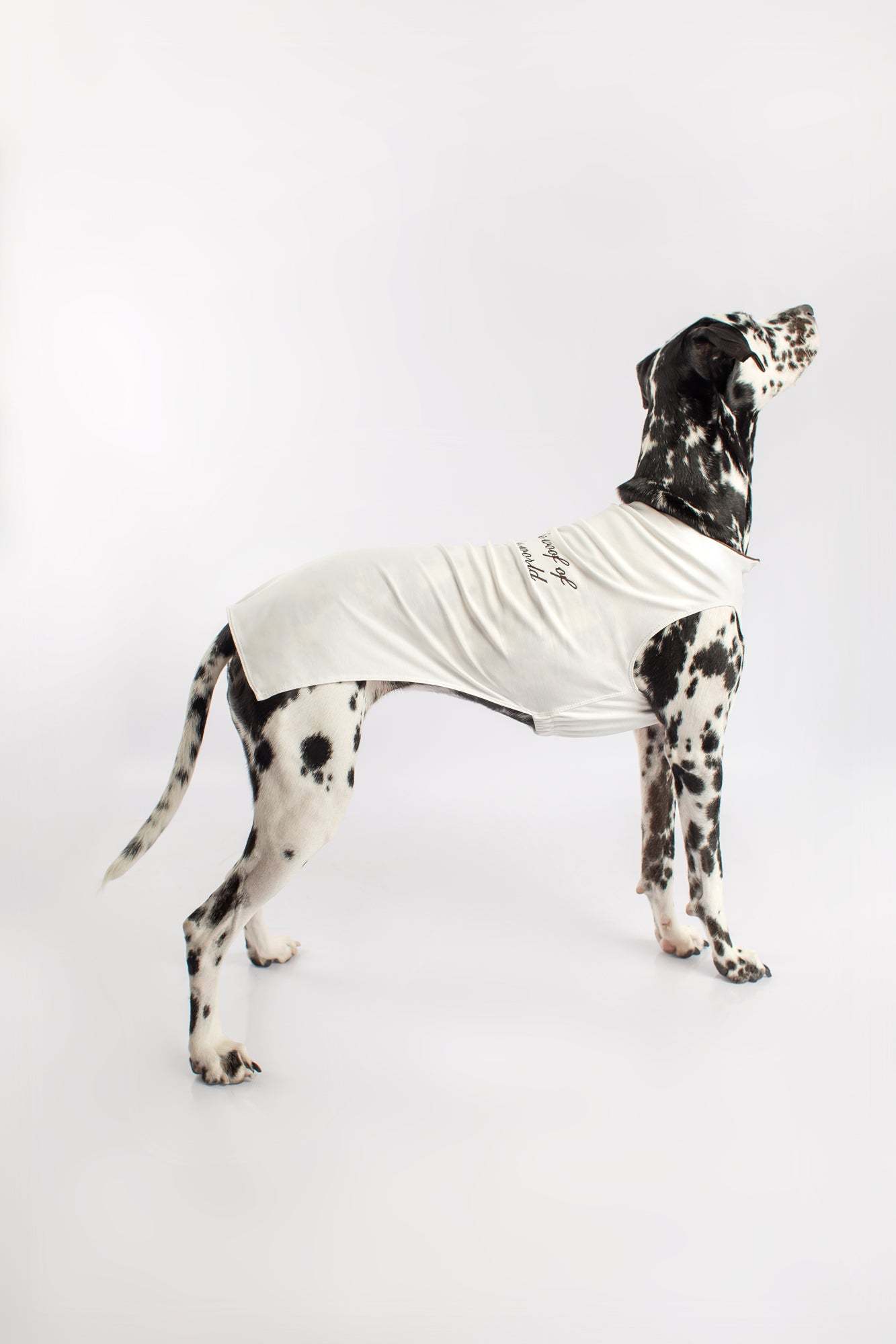 dog polo shirt in lightweight and breathable cotton