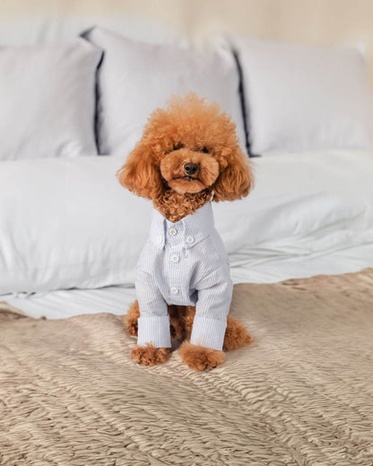 Dog Shirt Slim Fit In Organic Cotton Gots Certified Colette Et Gastón