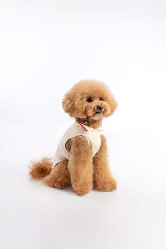 dog polo shirt breathable and elegant