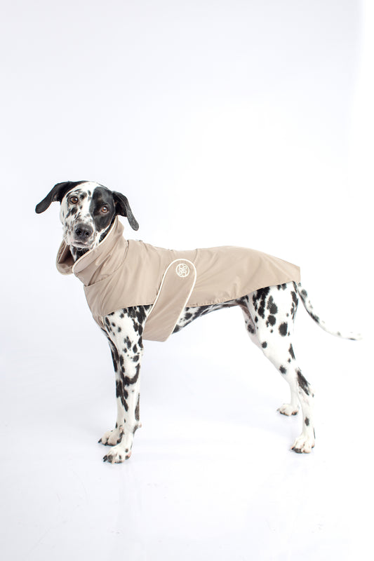 dog raincoat with cotton lining