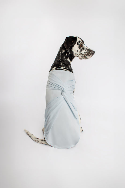 Dog Draped Shirt in Cotton Pima Soft and Comfy with a Twist on the Back