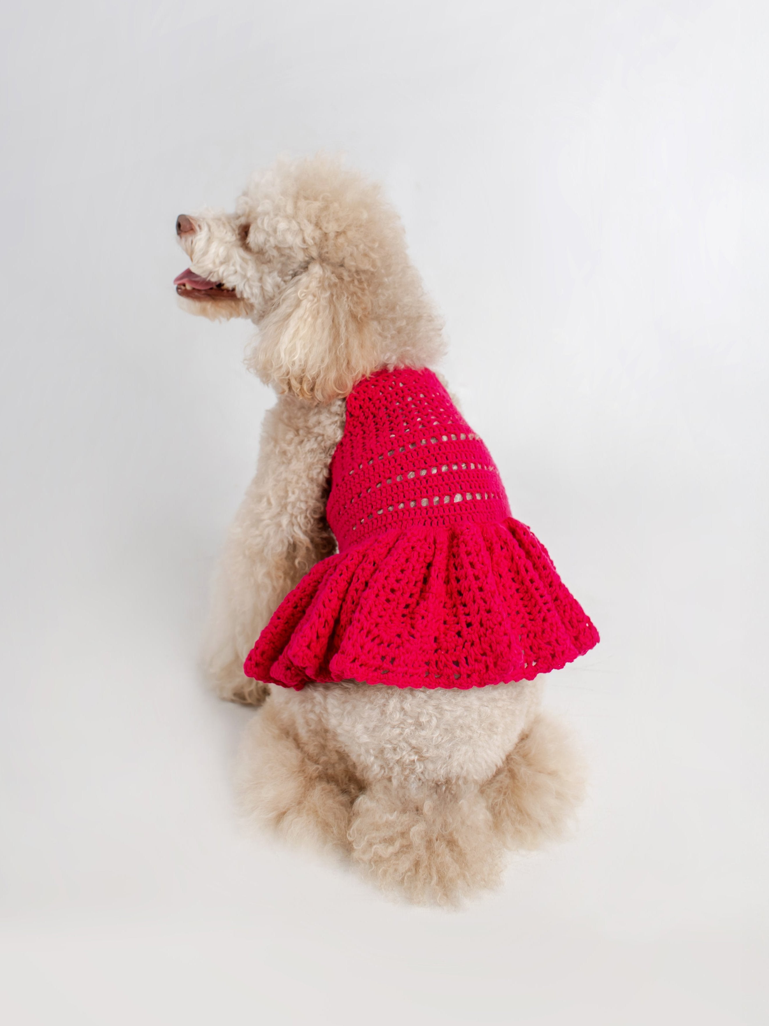 Crochet dog dress best sale