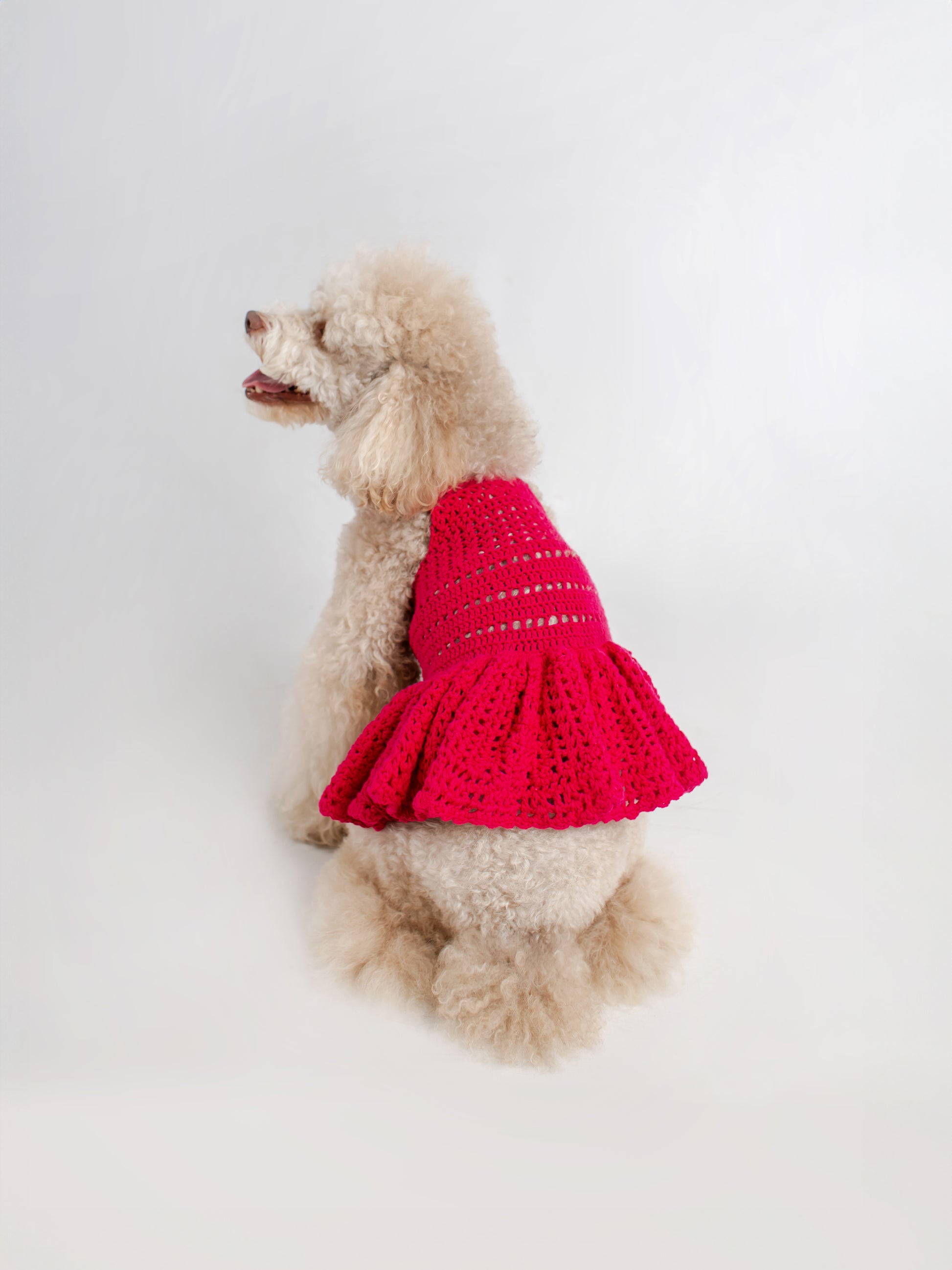 Dog Crochet Dress Handmade in Crochet technique with Soft Peruvian Cotton